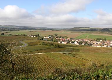 prouilly